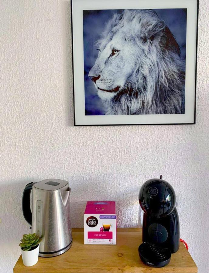 Apartamento Studio Near Parking With Wifi Center Montpellier
